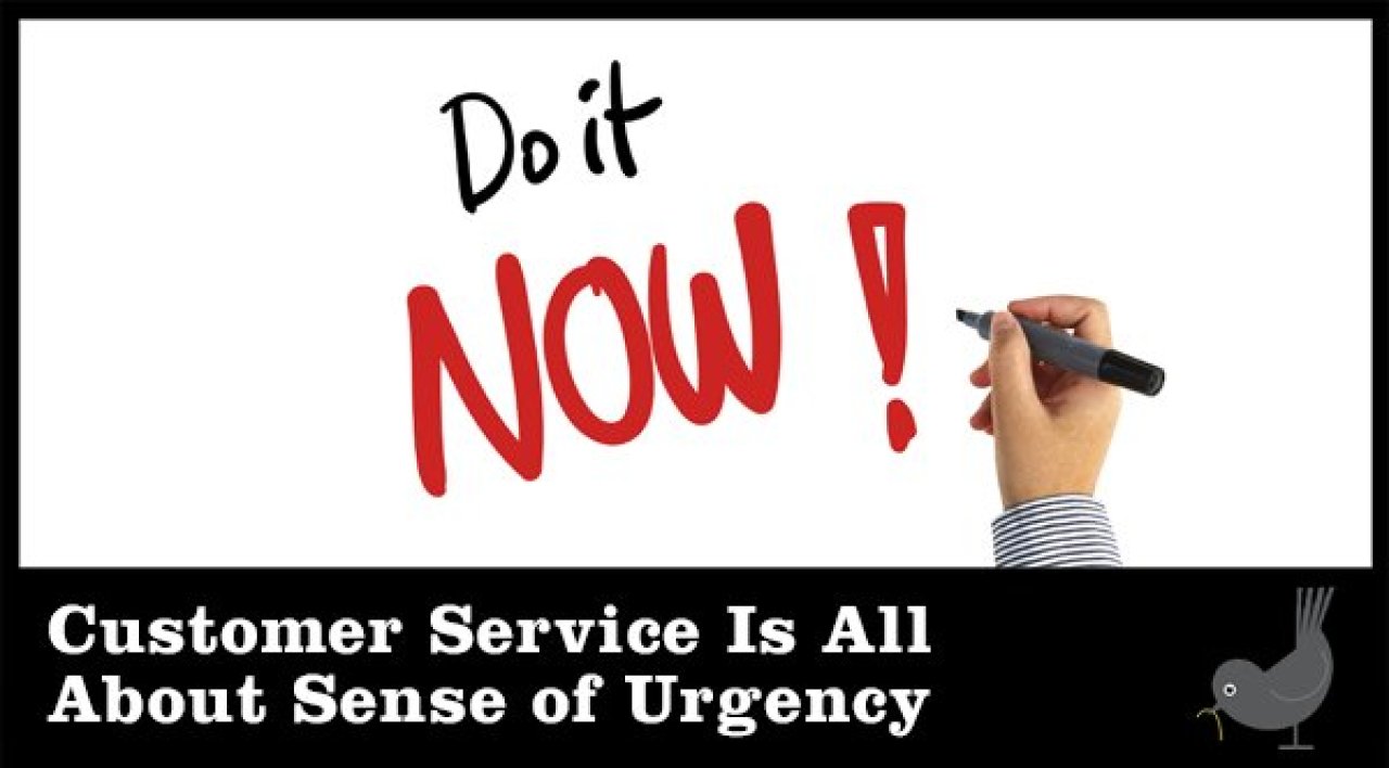 customer-service-is-all-about-sense-of-urgency-seo-image.jpg.