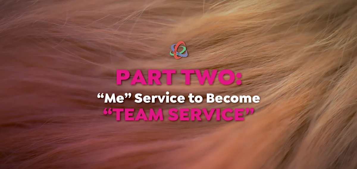 “Me” Service to Become “Team Service” – Part 2